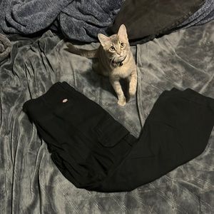 dickies cargo pants